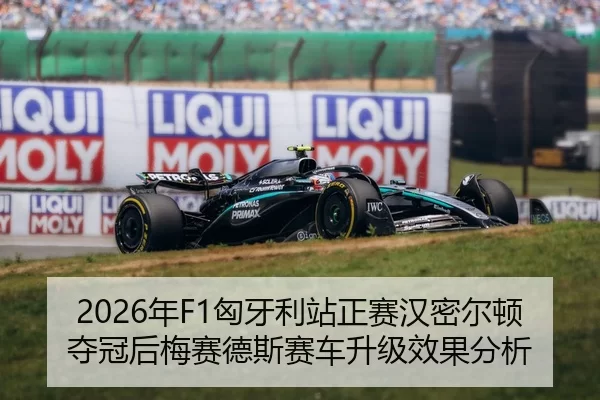 nian-xiong-ya-li-zhan-zheng-sai-han-mi-er-dun-duo-guan-hou-mei-sai-de-si-sai-che-sheng-ji-xiao-guo-fen-xi-3-712.jpg